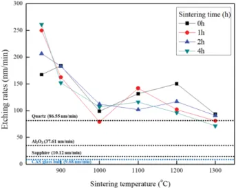 Fig. 4. Surface microstructure of reference samples, CAS glass bulk (SEI ×3000).