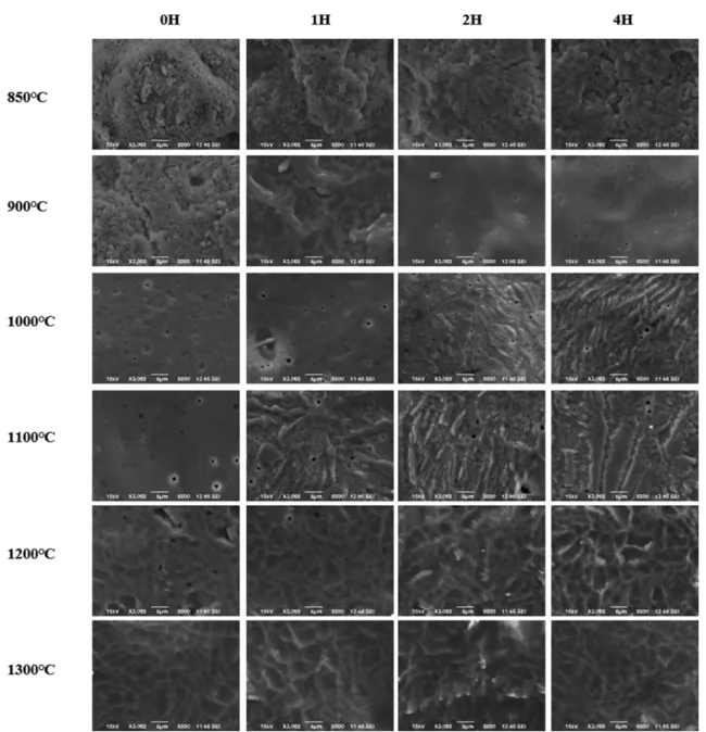 Fig. 5. Surface microstructure of etched CAS glass coating according to sintering temperature and time (SEI ×3000).