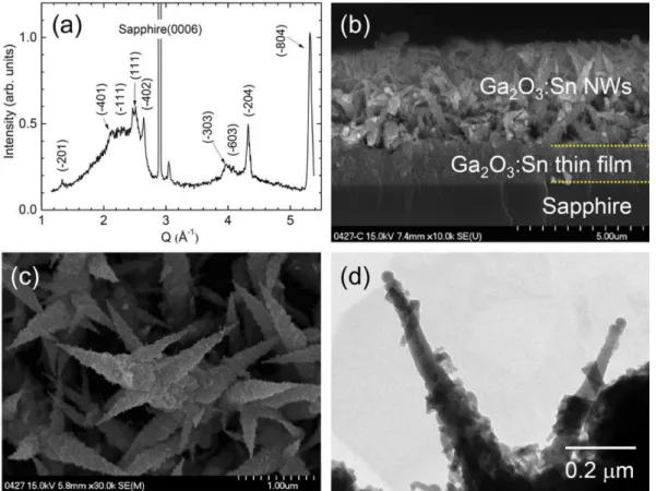 Fig.  2.  XRD  profiles  of  -Ga 2 O 3 : Sn  NW  samples  annealed  in vacuum,  O 2 ,  N 2 ,  and  Ar  atmospheres