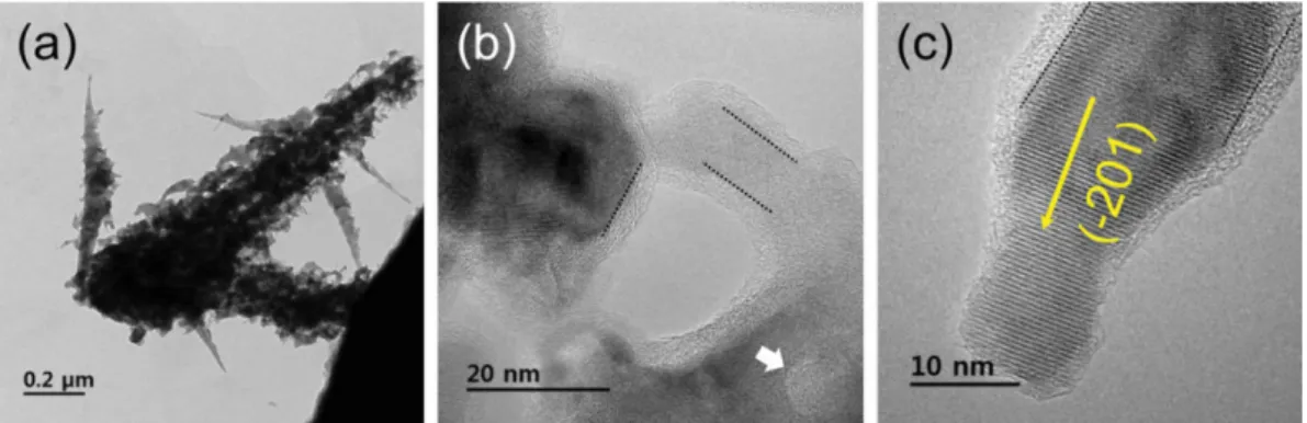 Figure  5(a)는 저배율  TEM 사진으로서 전체적인 나노와 이어의 형상을 보여준다. 큰 가지 형태의 줄기에 다수의 작은  가지(branched)  나노와이어가  존재한다