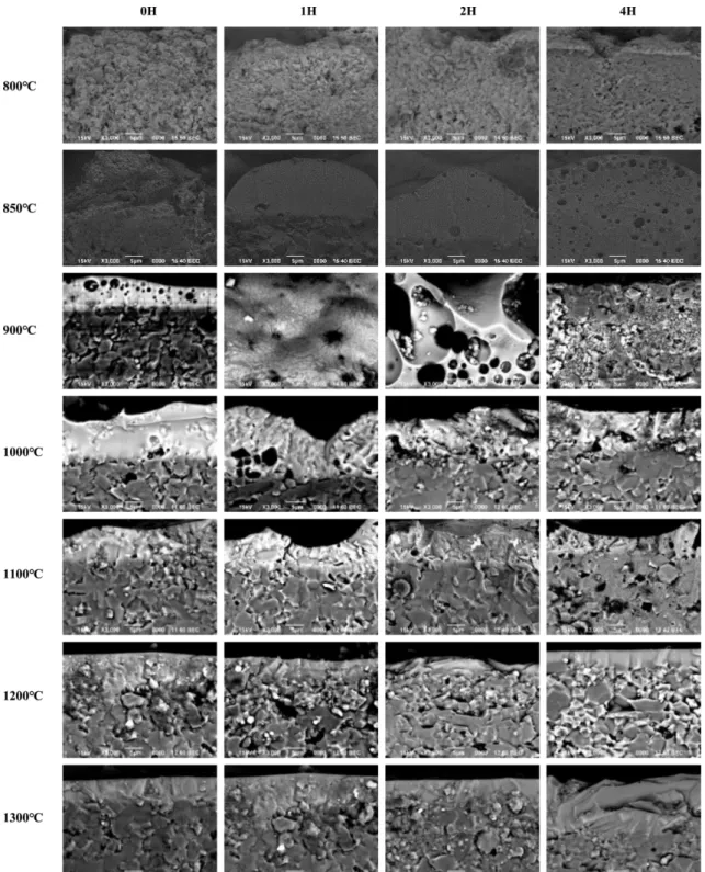 Figure  6에서  Si-rich  유리  코팅막은  Ca-rich  조성과는 달리 과도한 기포 팽창 현상이 없었다. 그러나  1200 o C에