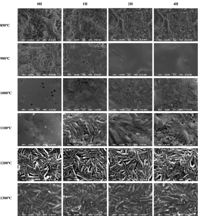 Fig. 5. Surface microstructure of Si-rich glass coating according to sintering temperature and time (SEI x3000).