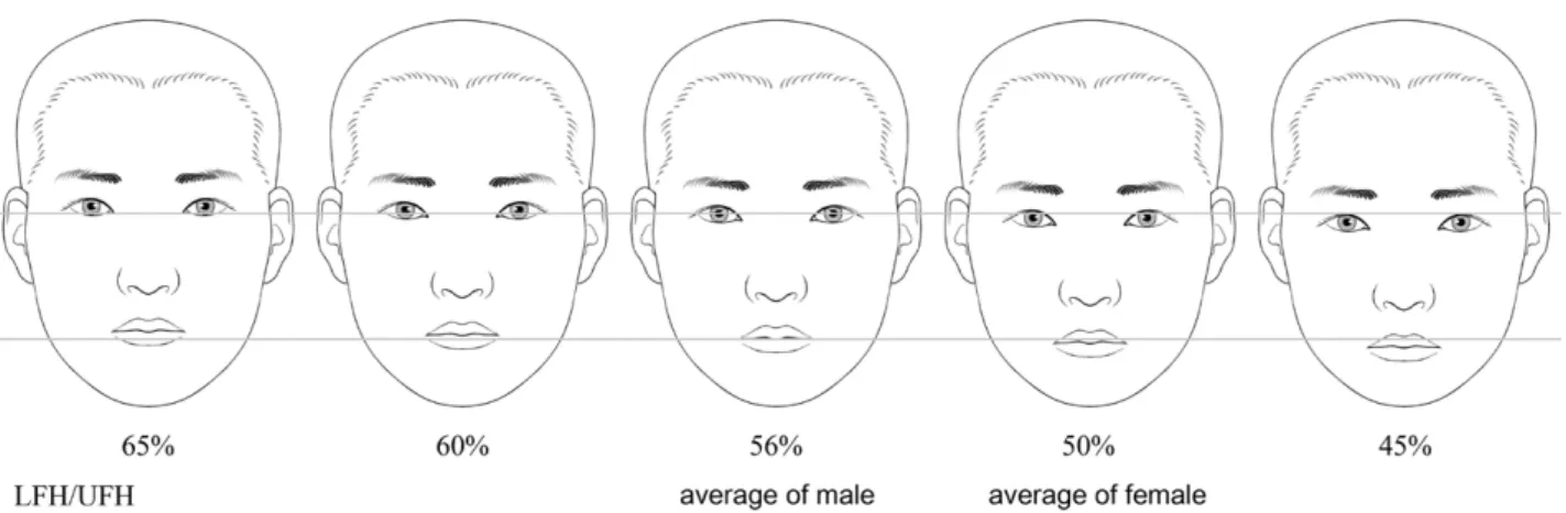 Fig. 2. Ratio of lower and upper face height. UFH; upper face height, LFH; lower face height.