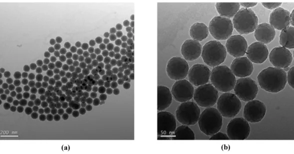 Fig. 2. TEM images of nano silica sol used in this study.