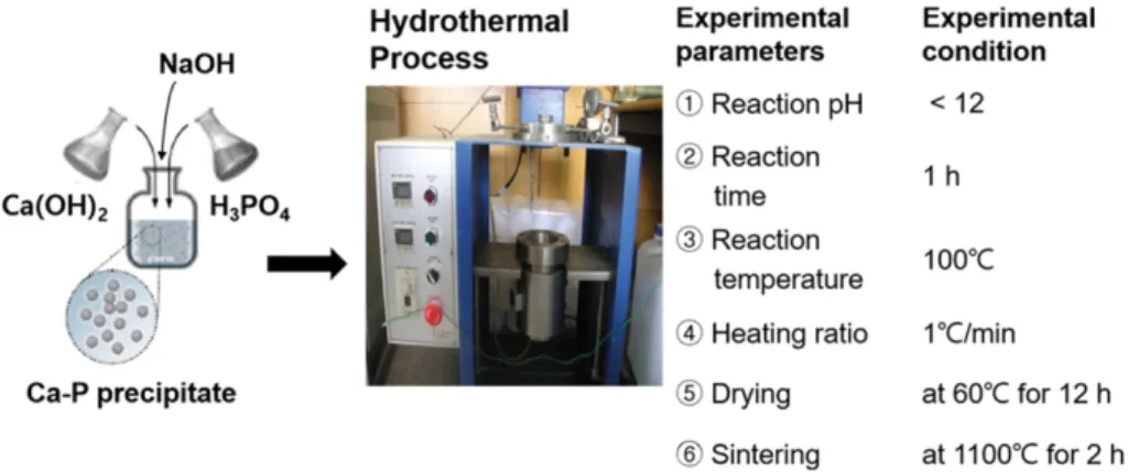 Fig. 1. Hydrothermal process adopted in this study.
