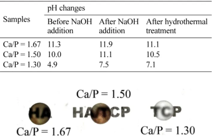 Fig. 5. SEM micrographs of the prepared ceramics sintered at 1100 o C for 2 h using the prepared powders from the different precursor Ca/P ratios: (a)  β-TCP (Ca/P = 1.30), (b) HAp/β-TCP (Ca/P = 1.50), and (c) HAp (Ca/P = 1.67).