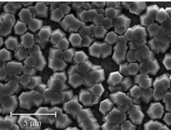 Fig. 4. SEM image of ε-Ga 2 O 3  hexagonal islands grown with low temperature buffer layer.