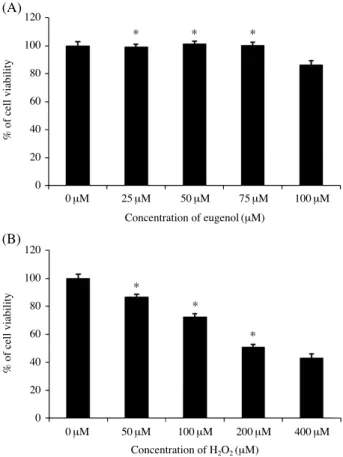 Fig. 2. Effect of eugenol preconditioning on cell viability. (A) The normal PDLF cells were treated with different concentrations (0, 25, 50, 75, 100 μM) of eugenol for 24 h