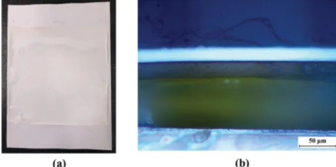 Fig. 5. Surface roughness of SiO 2 -TiO 2  complex coating layer: (a) 30 wt%, (b) 40 wt%, (c) 50 wt%.