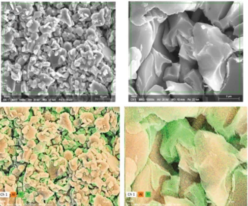 Fig. 5. Microstructure and EDX mapping of ex-situ coating and after sintering TiO 2  coating film.
