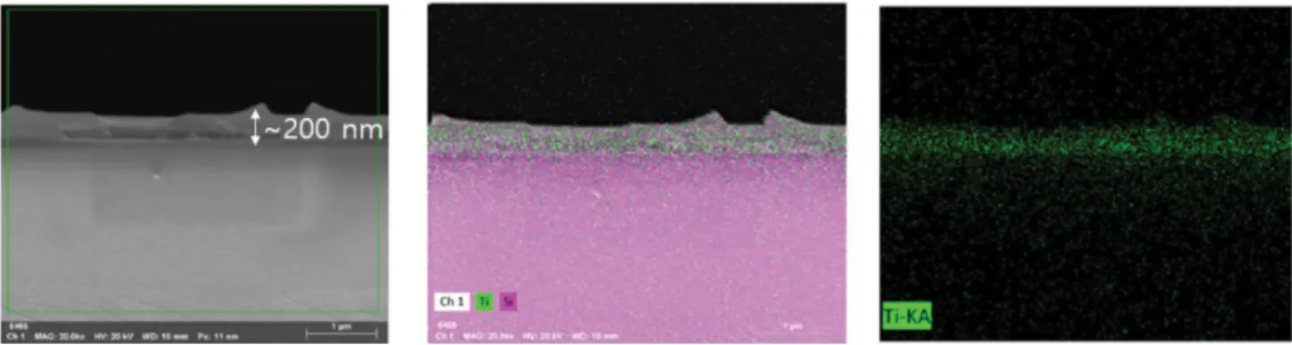 Fig. 6. SEM and EDX mapping result of TiO 2  coating film cross section view.