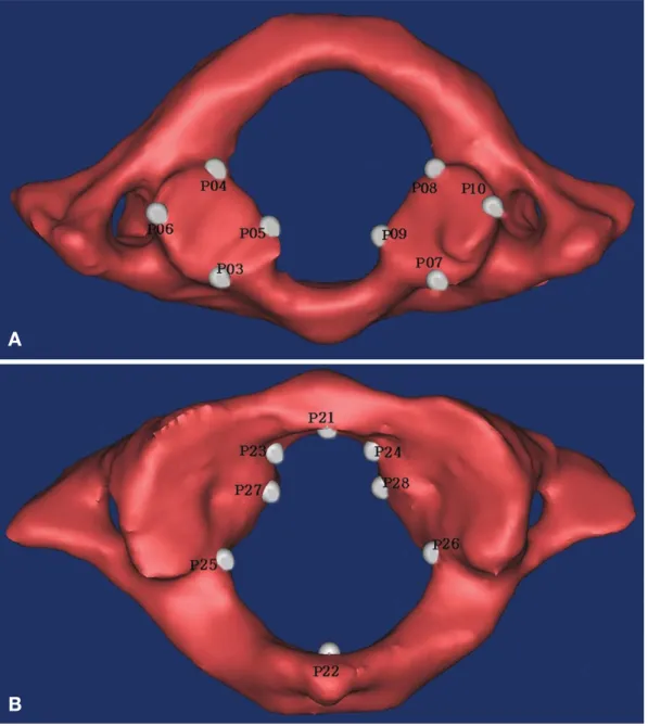 Fig. 1. Captured images from Mimics simulation module. In these images, only a few examples of points were demonstrated