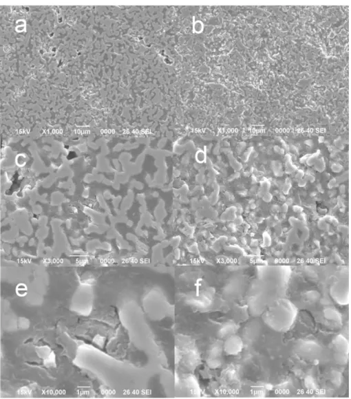 Fig. 4. FE-SEM images of TiO 2 -MnO (TMO) ceramics sintered at 1100 o C with (a) 30 % P-25, (b) 40 % P-25, (× 1,000 magnification), (c) 30 % P-25, (d) 40 % P-25, (× 3,000 magnification) (e) 30 % P-25, (f) 40 % P-25 (× 10,000 magnification).