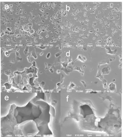 Fig. 4 는 1100 o C  대기  분위기에서  1시간  동안  소결한 다공성 TMO 세라믹스(P-25 30 %/40 %)에서 P-25 함량 의 변화에 따른 미세조직의 변화를 보여준다