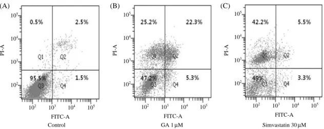Fig. 5. The expression levels of apoptosis regulating proteins.