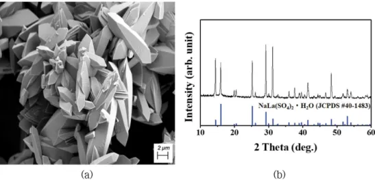 Fig. 2. (a) Typical FESEM image and (b) XRD pattern of lanthanum precipitate produced by NaOH after H 2 SO 4  dissolution process.