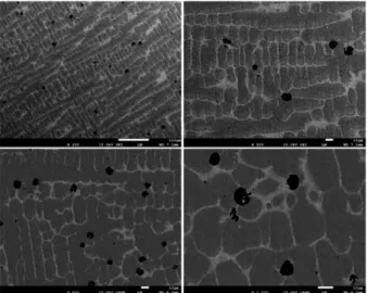 Fig. 4. FE-SEM and EDS mapping images of Cu 50 -Fe 50  alloy sample.