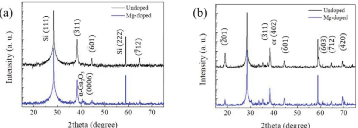 Fig. 2. XRD spectra of undoped and Mg-doped Ga 2 O 3  thin films grown at (a) 600 o C and (b) 900 o C.