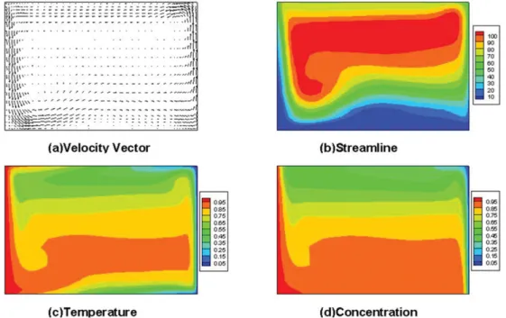 Fig. 7 shows the convective structures of velocity field, stream function, temperature and concentration, based on aspect ratio (Ar) = 0.2, width = 5 cm, a  lin-ear wall temperature profile between T s = 350 o C and T c = 290 o C, Gr = 1.75 × 10 6 ,  ΔT = 