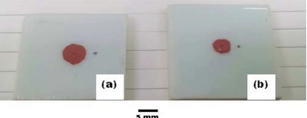 Fig. 1. α-Fe 2 O 3  pigment heated at 800 o C for 1 h on white porcelain plates for TEM samples