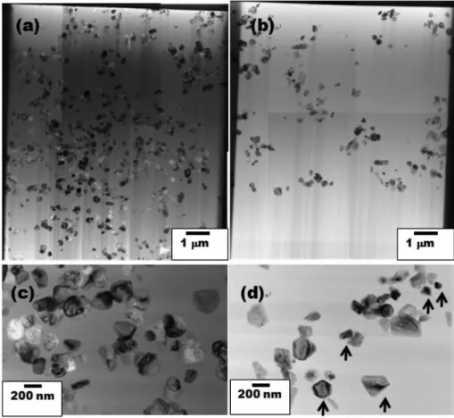 Fig. 4. Cross section of frit layers with  α-Fe 2 O 3  particles fired at 800 o C. (a), (c) Pb-containing frit and (b), (d) Pb-free frit.