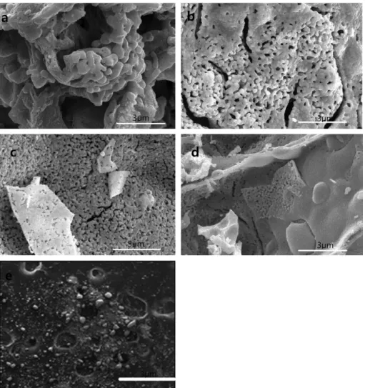 Fig. 1. SEM images of the synthesized catalysts: (a) La 0.7 Sr 0.3 FeO 3 , (b) La 0.7 Sr 0.3 Cu 0.3 Fe 0.7 O 3 , (c) La 0.7 Sr 0.3 Cr 0.3 Fe 0.7 O 3 , (d) La 0.7 Sr 0.3 Ni 0.3 Fe 0.7 O 3 , and (e) Commercial Fe 2 O 3  catalyst.