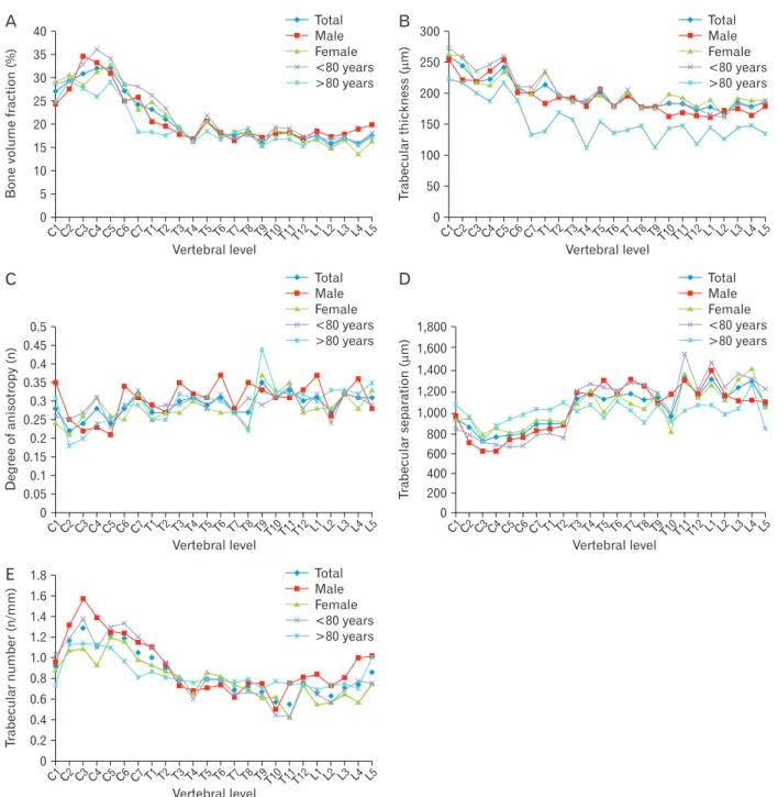 Fig. 3. (A) Regional variation in vertebral trabecular BVF. Cervical vertebrae exhibit significantly higher BVF in relation to thoracic and lumbar  vertebrae (Kruskal-Wallis-test, P-values in Table 2)
