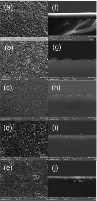 Fig. 2. Plane-view and cross-sectional FE-SEM images of undoped AlN epilayer, and Mg doped AlN epilayers grown with varying Mg quantity in the mixed-source
