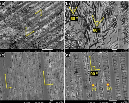 Fig. 4. Optical microscope pictures of surface of the TiAl alloy sample prepared by centrifugal casting.