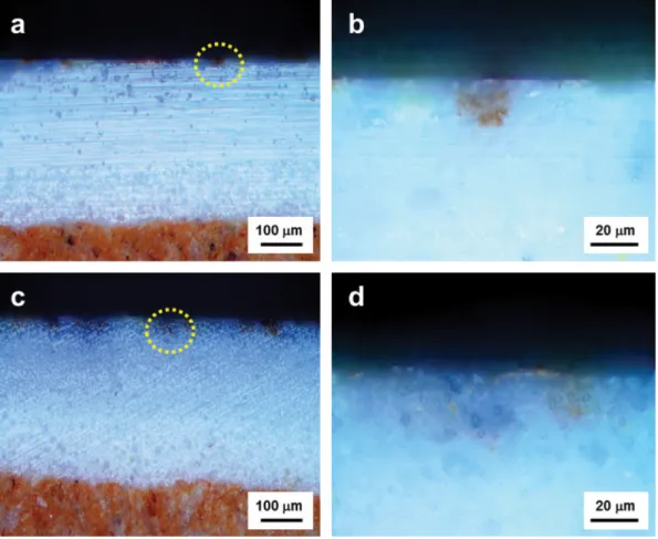 Fig. 3. Cross sectional microscope images of commercial (a, b) and prepared (c, d) ceramic tiles.
