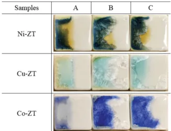 Fig. 12. SEM/EDX results of glaze applied Ni-ZT.