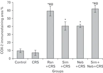 Fig. 7. Quantification analysis of the mean COX-2+ve immunos- immunos-taining area %. COX-2, cyclooxygenase 2; CRS, cold restraint stress; 