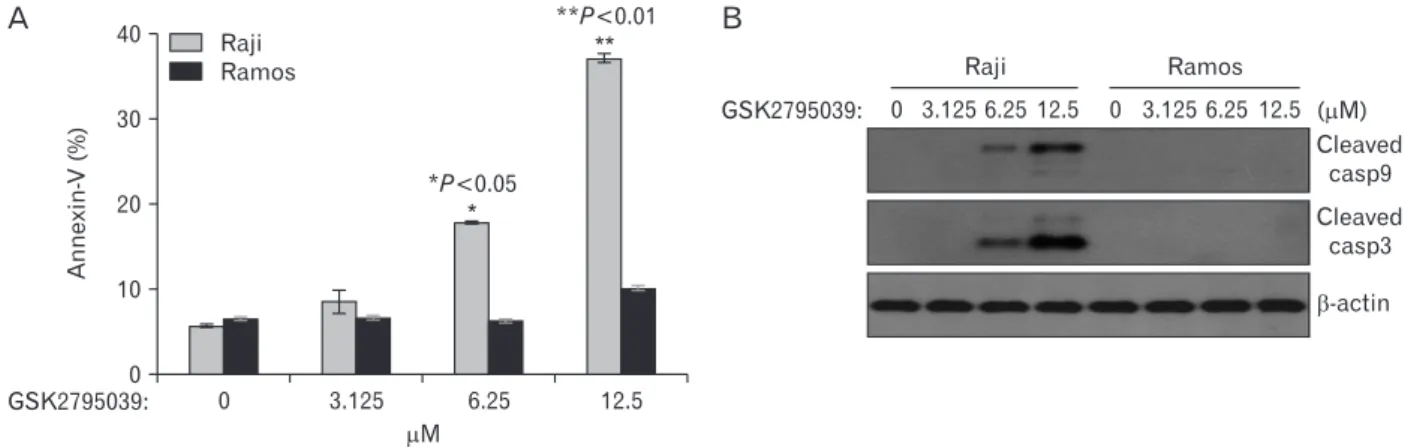 Fig. 4. GSK2795039, the Nox2 inhibitor, mediated caspase-dependent apoptotic cell death in Raji cells in a dose-dependent manner