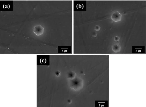 Fig. 2 는 AlN 단결정의 Al-polar face를 80 o C 에서 KOH/H 2 O 2 : 1 wt%/10 wt%  혼합액을  이용하여  에칭  후 전자주사현미경으로  형상을  관찰한  사진이다