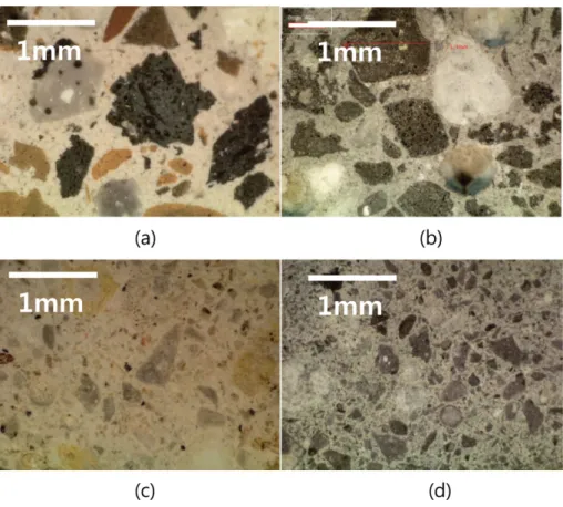Fig. 3. SEM micrographs of the surfaces of the specimens after the corrosion test: (a) LC and (b) HC.