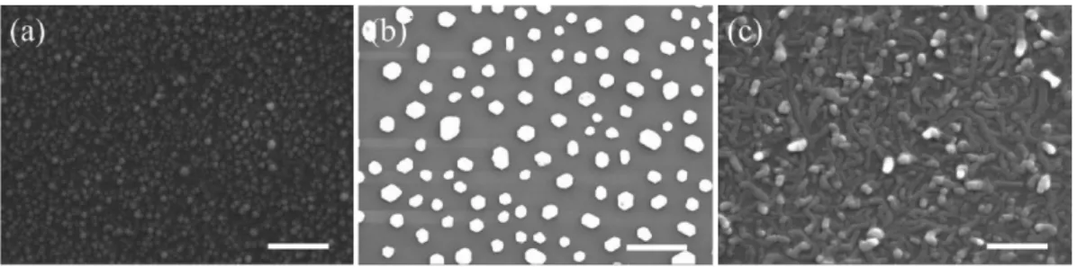 Fig. 6 는  서로  다른  금속  촉매를  사용한  나노  와이어Fig. 3. SEM images of the nanoparticles of (a) Au, (b) Cu and (c) Ni formed by thermal treatments at 1000oC before the growth of