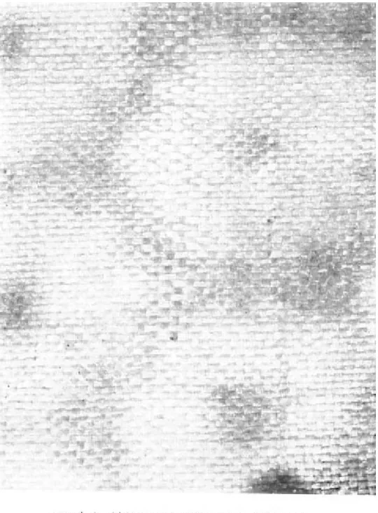 그림  2.  고힐염견  부분  확대(絞힐染絹  部分  擴大)(DB-32)