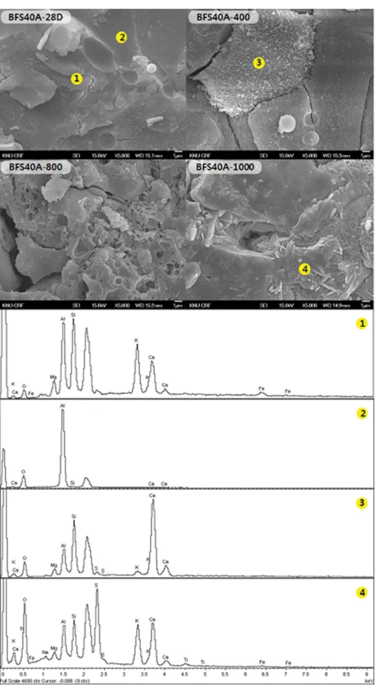 Fig. 9. FE-SEM micrographs and EDS point mapping of BFS40A geopolymeric ceramics with exposure temperature.