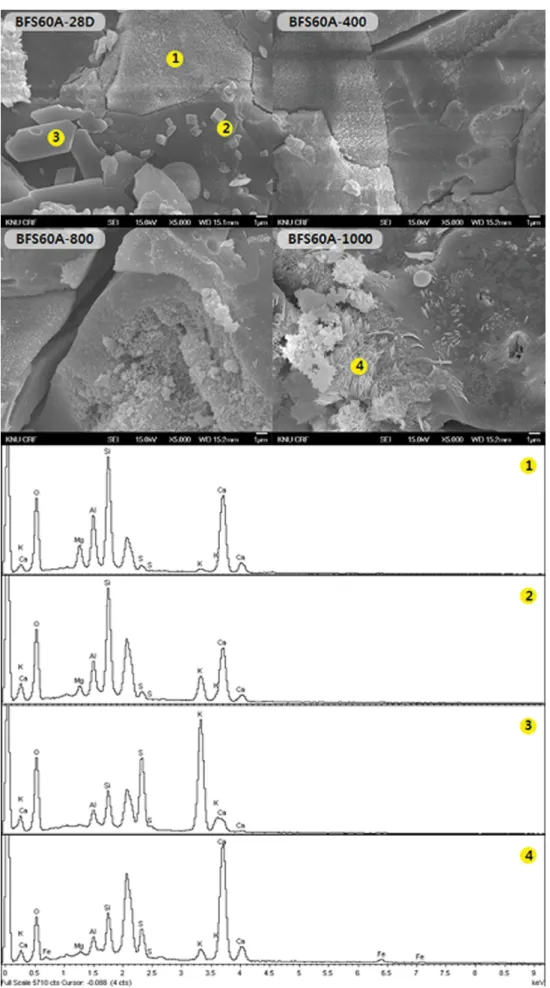 Fig. 10. FE-SEM micrographs and EDS point mapping of BFS60A geopolymeric ceramics with exposure temperature.