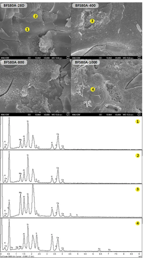 Fig. 11. FE-SEM micrographs and EDS point mapping of BFS80A geopolymeric ceramics with exposure temperature.