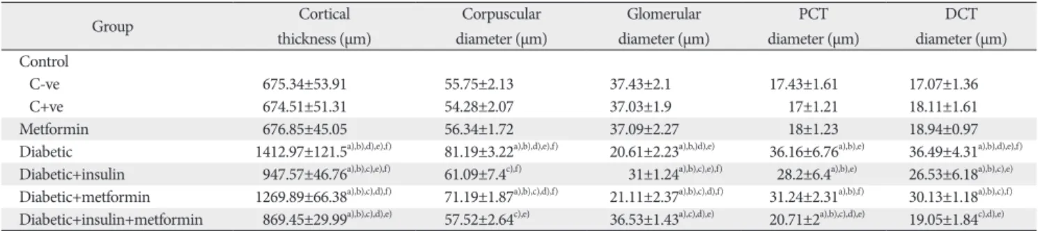 Table 4. Morphometric parameters of fetal kidneys