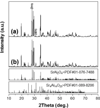 Fig. 3. XRD patterns of SrAl 2 O 4 : Eu 2+ , Dy 3+  phosphors synthe- synthe-sized by polymerized complex method: (a) before thermal 