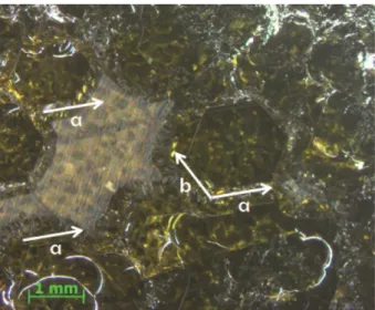 Fig. 2. Stereo-micrograph of as-grown AlN crystallites at the temperature of 2010 o C for 6 hrs