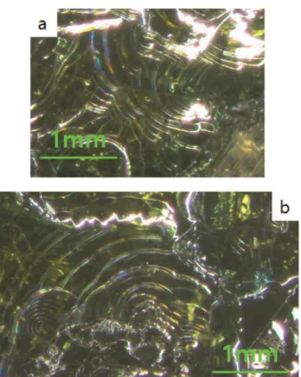 Fig. 4. Stereo-micrograph of as-grown AlN crystallites at the temperature of 2030 o C for 4 hrs