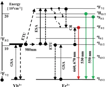 Fig. 4. Energy level diagram of Er 3+  and Yb 3+  in the NaGd (MoO 4 ) 2  UC phosphors and possible UC mechanism under
