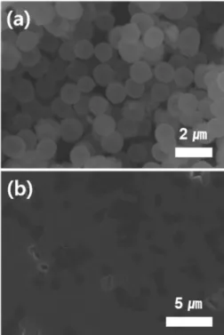 Fig. 1. SEM images of (a) YAG : Ce powder and (b) surface of YAG : Ce CPP.