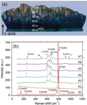 Fig. 6. (a) Photograph of the vertically sliced AlN crystal, (b) Raman spectra of AlN crystals obtained from different position