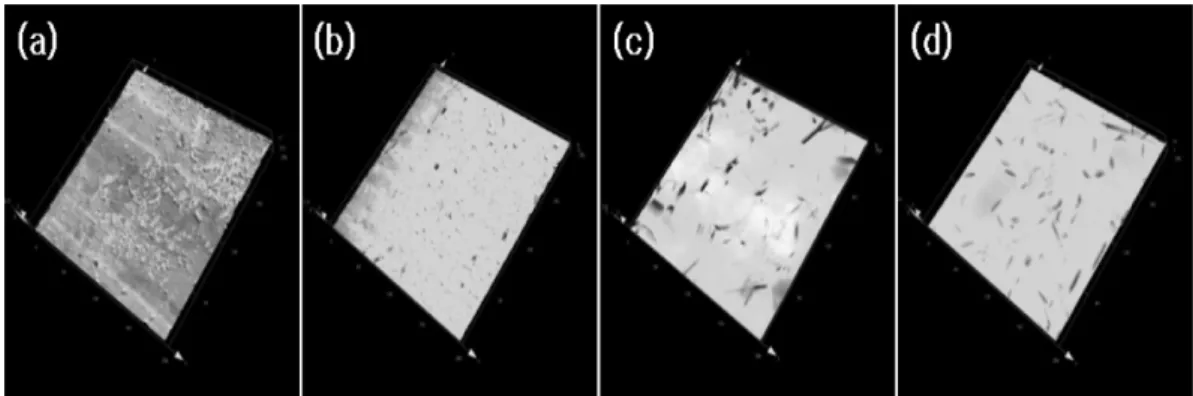 Fig. 2. SEM images of Ti surfaces treated by (a) machining, (b) TiN coating, (c) electropolishing, and (d) anodizing, respectively.