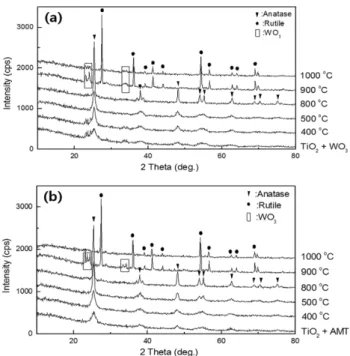 Fig. 5. XRD patterns of 10 wt% WO 3  added rutile-TiO 2  powders heat-treated at different temperatures.