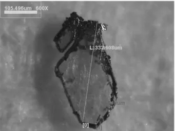 Fig. 4. Micrograph of AlN crystals grown at nearly close temperature of optimum growth.